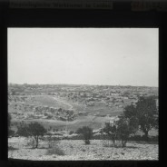 Böhl glass slide 62./1922